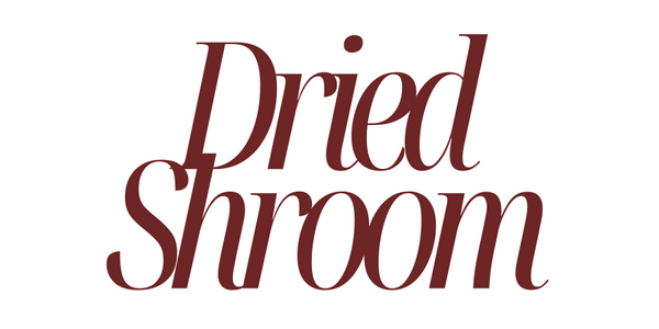 DRIED SHROOM HERBAL MEDICINES