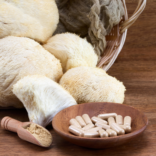 DRIED LIONS MAINE MUSHROOM